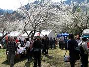 100313-1.jpg