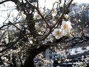 100313-3.jpg