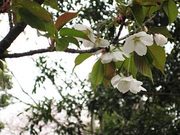 100404_2.jpg