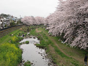 100404_3.jpg
