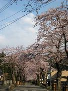 100430_2.jpg