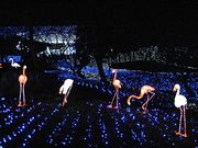 101219_3.jpg