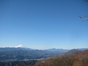 110110_1.jpg
