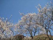 110319_3.jpg