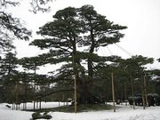 110320.jpg