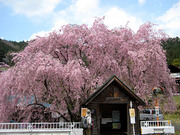 110424_1.jpg