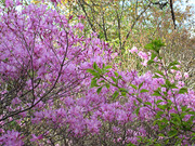 110424_3.jpg