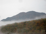 111106_2.jpg