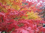 111106_3.jpg