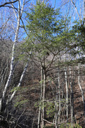 141206m3.jpg