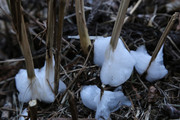 150110_2.jpg