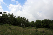 150613_1.jpg