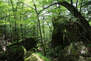 150613_3.jpg