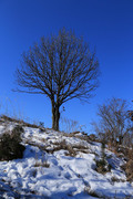 170128_1.jpg