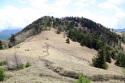 180519_0.jpg