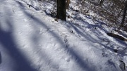 190202_2.jpg