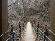 190216_2.jpg