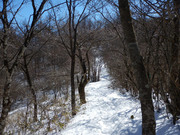 190309_1.jpg