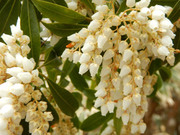 190420_1.jpg