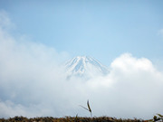 190420_2.jpg