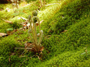 190601_1.jpg