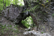 190706_1.jpg