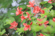 190706_2.jpg