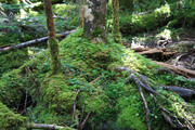190824_1.jpg