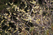 200125_3.jpg