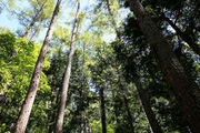 200811_1.jpg