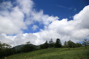 200811_2.jpg
