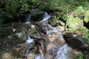 200811_3.jpg