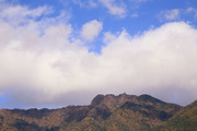201124_1.jpg
