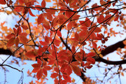 201124_2.jpg