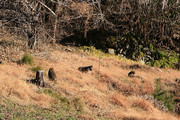 210221_3.jpg