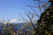 210221_4.jpg