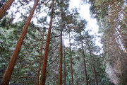220205_1.jpg