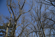 220305_2.jpg