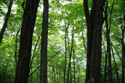 220604_3.jpg