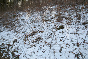 230204_2.jpg