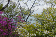 230527_1.jpg