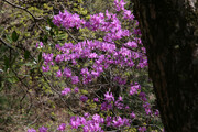 240420_1.jpg