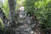 240615_1.jpg