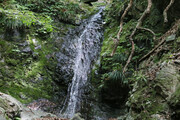240615_3.jpg