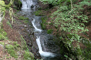 240727_1.jpg