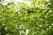240727_2.jpg