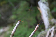 240805_2.jpg
