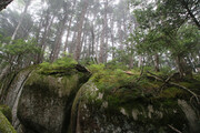 240806_2.jpg