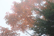 241026_1.jpg