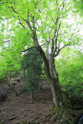 250428_3.jpg